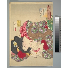 Tsukioka Yoshitoshi: Teasing the Cat - Metropolitan Museum of Art