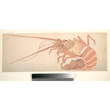 Katsushika Hokusai: Large Lobster - Metropolitan Museum of Art