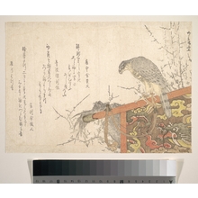 Ryuryukyo Shinsai: Hawk Tied to Perch - Metropolitan Museum of Art