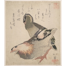 Totoya Hokkei: Two Birds - Metropolitan Museum of Art