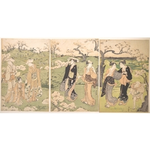 鳥居清長: Young Ladies Viewing Cherry–blossoms at Asukayama - メトロポリタン美術館