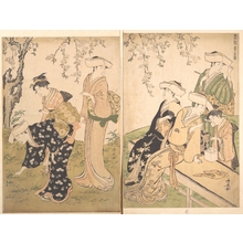 Torii Kiyonaga: Group of Women Under a Blossoming Cherry Tree - Metropolitan Museum of Art