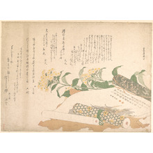 北尾重政: Daisies and Two Makimono - メトロポリタン美術館