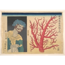 Utagawa Sadahide: Stick of Coral and a Portrait of South Sea Islander - Metropolitan Museum of Art