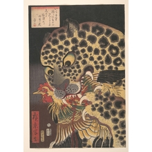 歌川広景: Head of a Tiger Eating a Rooster - メトロポリタン美術館