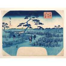 Utagawa Hiroshige II: View of Iris Gardens at Horikiri - Metropolitan Museum of Art