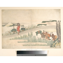 Katsushika Hokusai: Spring in the Rice Fields - Metropolitan Museum of Art