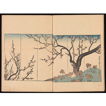 酒井抱一: Ink Traces of Kenzan (Kenzan iboku) - メトロポリタン美術館