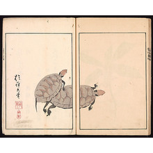 Sakai Hoitsu: The Ôson Picture Album (Ôson gafu) - Metropolitan Museum of Art