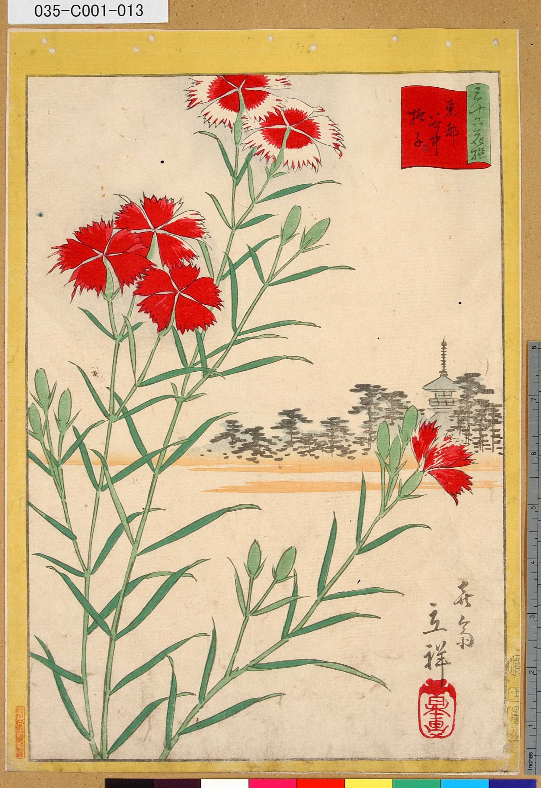 Utagawa Hiroshige Ii 三十六花撰 東都谷中撫子 十二 Tokyo Metro Library Ukiyo E Search