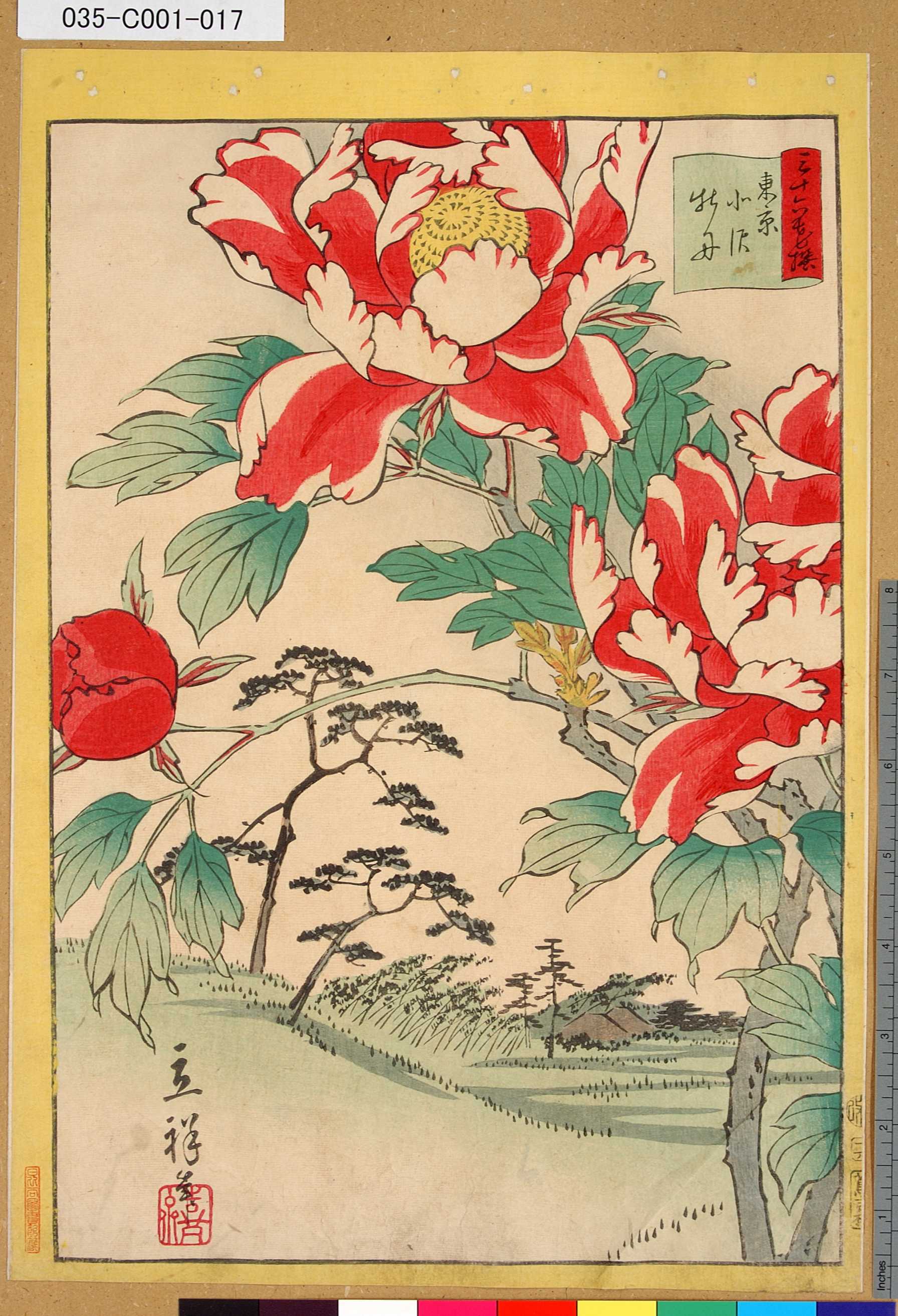 Utagawa Hiroshige II: Peonies at Kitazawa in Tokyo (Tôkyô Kitazawa
