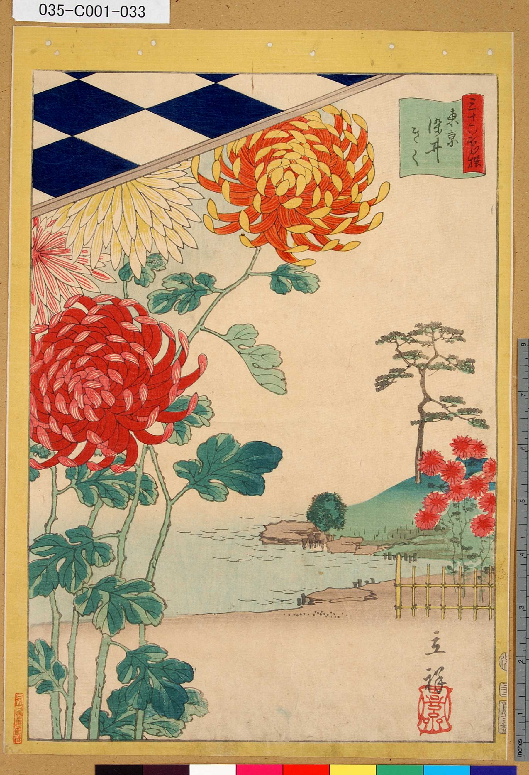 Utagawa Hiroshige II: 「三十六花撰」「東京染井きく」 「三十二 