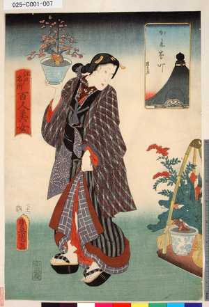 Utagawa Kunisada: 「江戸名所百人美女」 「かやば町」 - Tokyo Metro Library 