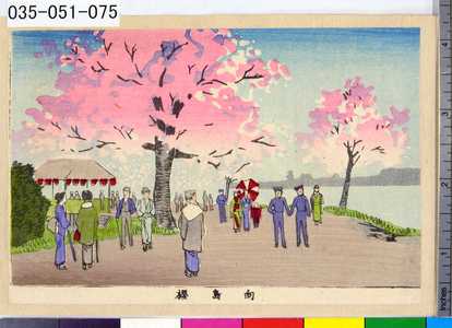 Inoue Yasuji: 「向島桜」 - Tokyo Metro Library 