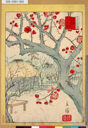 Utagawa Hiroshige II: 「三十六花撰」 「東京大森山本紅梅」「二」 - Tokyo Metro Library 