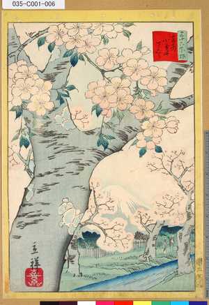 Utagawa Hiroshige II: 「三十六花撰」「東都小金井さくら」 「五」 - Tokyo Metro Library 