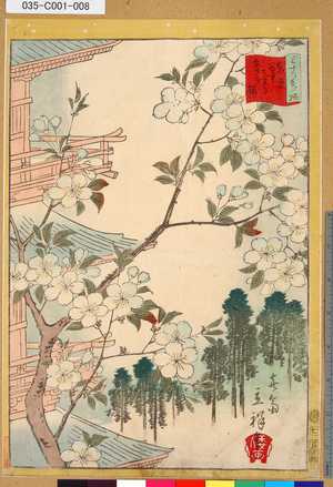 Utagawa Hiroshige II: 「三十六花撰」「東京谷中天王寺あさぎ桜」 「七」 - Tokyo Metro Library 