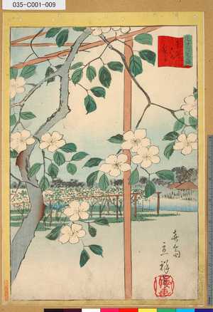 Utagawa Hiroshige II: 「三十六花撰」「東都六郷梨子」 「八」 - Tokyo Metro Library 