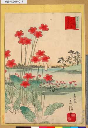 Utagawa Hiroshige II: 「三十六花撰」「東京戸田原さくら草」 「十」 - Tokyo Metro Library 