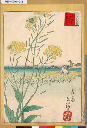 Utagawa Hiroshige II: 「三十六花撰」「東京小松川菜の花」 「十一」 - Tokyo Metro Library 