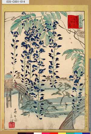 Utagawa Hiroshige II: 「三十六花撰」「東都亀井戸天神藤」 「十三」 - Tokyo Metro Library 