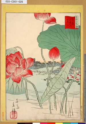 Utagawa Hiroshige II: 「三十六花撰」「東京不忍池蓮花」 「廿五」 - Tokyo Metro Library 