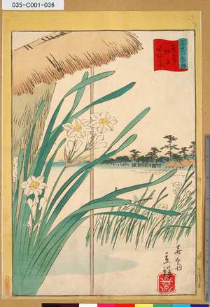 Utagawa Hiroshige II: 「三十六花撰」 「東都押上水仙花」「卅五」 - Tokyo Metro Library 