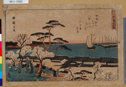 Utagawa Hiroshige: 「江戸名所」 「御殿山花盛」 - Tokyo Metro Library 