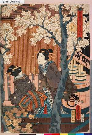 Utagawa Kunisada: 「吾妻源氏雪月花ノ内」 「花」 - Tokyo Metro Library 