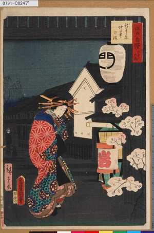 Utagawa Kunisada: 「江戸自慢三十六興」 「新よし原仲の町の桜」 - Tokyo Metro Library 