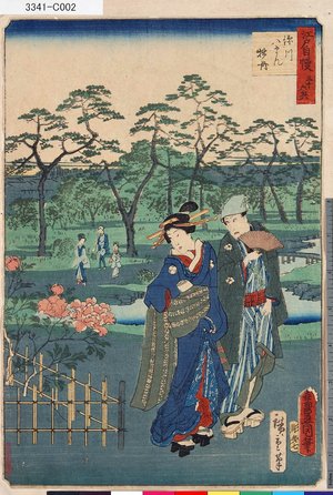 Utagawa Kunisada: 「江戸自慢三十六興」 「深川八まん牡丹」 - Tokyo Metro Library 