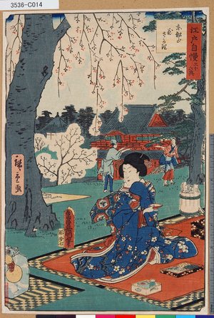 Utagawa Kunisada: 「江戸自慢三十六興」 「東叡山花ざかり」 - Tokyo Metro Library 
