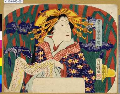 Utagawa Fusatane: 「花菖蒲全盛揃」 - Tokyo Metro Library 