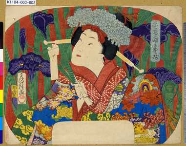 Utagawa Fusatane: 「花菖蒲全盛揃」 - Tokyo Metro Library 