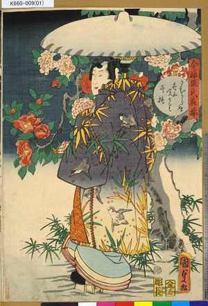Utagawa Kunisada II: 「今様源氏花揃」 「さむからぬ色に咲けり冬椿」 - Tokyo Metro Library 