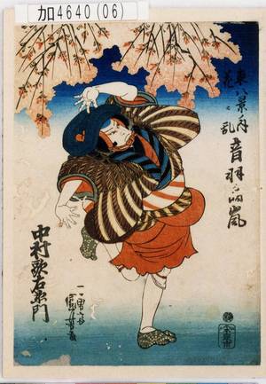 Utagawa Kuniyoshi: 「東八景ノ内花ニ乱 音羽ノ晴嵐」「中村歌右衛門」 - Tokyo Metro Library 