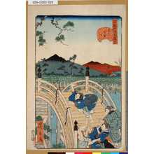 Utagawa Hirokage: 「江戸名所道戯盡」 「廿五」「亀戸太鼓はし」 - Tokyo Metro Library 