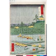 Ikkei: 「東京名所四十八景」 「堀切しよふ婦五月雨」 - Tokyo Metro Library 