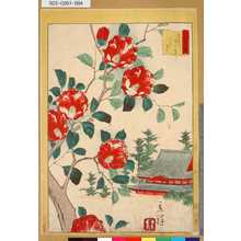 Utagawa Hiroshige II: 「三十六花撰」「東都上野下寺つばき」 「三」 - Tokyo Metro Library 