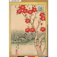 Utagawa Hiroshige II: 「三十六花撰」「東都越谷桃」 「四」 - Tokyo Metro Library 