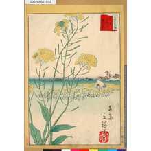 Utagawa Hiroshige II: 「三十六花撰」「東京小松川菜の花」 「十一」 - Tokyo Metro Library 