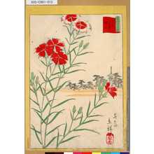 Utagawa Hiroshige II: 「三十六花撰」「東都谷中撫子」 「十二」 - Tokyo Metro Library 
