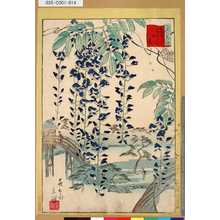Utagawa Hiroshige II: 「三十六花撰」「東都亀井戸天神藤」 「十三」 - Tokyo Metro Library 