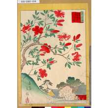Utagawa Hiroshige II: 「三十六花撰」「東京護國寺きりしま」 「十五」 - Tokyo Metro Library 