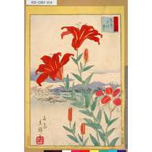 Utagawa Hiroshige II: 「三十六花撰」「東都千住ゆり」 「十七」 - Tokyo Metro Library 