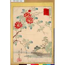 Utagawa Hiroshige II: 「三十六花撰」「東京根津ばら」 「廿一」 - Tokyo Metro Library 