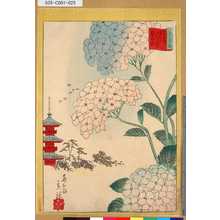 Utagawa Hiroshige II: 「三十六花撰」「東都浅草花やしき紫陽花」 「廿四」 - Tokyo Metro Library 