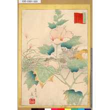 Utagawa Hiroshige II: 「三十六花撰」「東都隅田川花屋敷芙蓉花」 「廿七」 - Tokyo Metro Library 