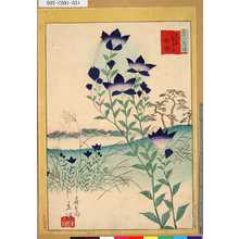 Utagawa Hiroshige II: 「三十六花撰」「東京廣尾原桔梗」 「三十」 - Tokyo Metro Library 
