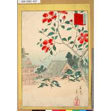 Utagawa Hiroshige II: 「三十六花撰」 「東都堀の内山茶花」「卅六」 - Tokyo Metro Library 